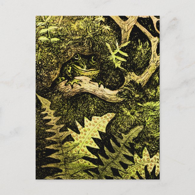 Cartão Postal Sapo de Arte Neerlandesa em Árvore (Frente)