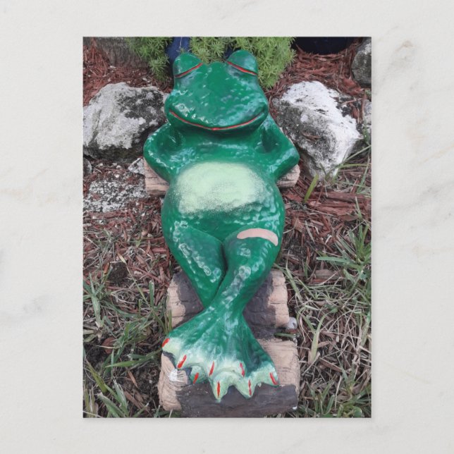 Cartão Postal Sapo De Dormir Que Tal (Frente)