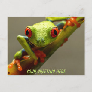 Cartão Postal Sapo de olhos vermelhos da Costa Rica Personalizad