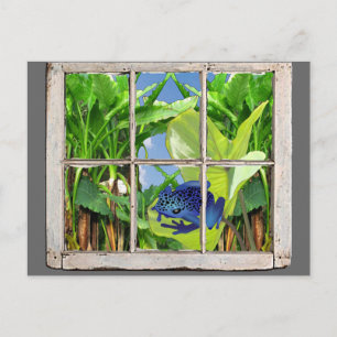 Cartão Postal Sapo do dardo do veneno