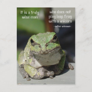 Cartão Postal Sapo e Unicorn