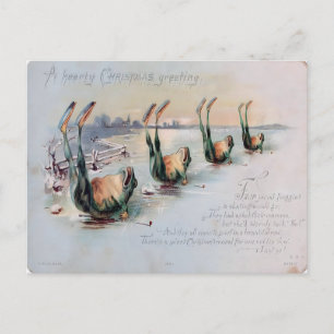 Cartão Postal Sapo Engraçado de Patins Falha Vintage