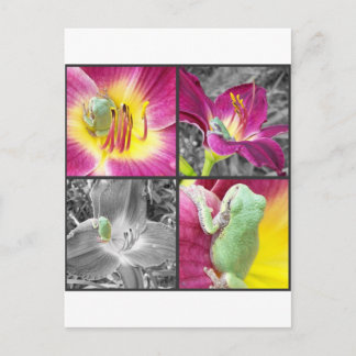 Cartão Postal Sapo na colagem de flores