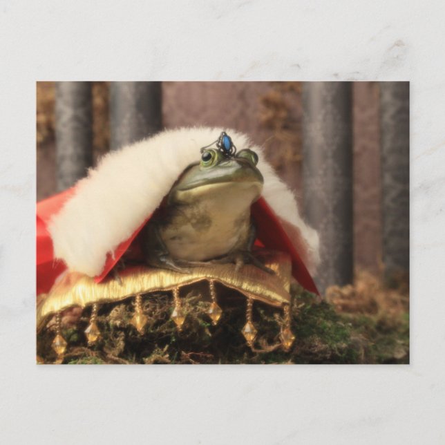 Cartão Postal Sapo Prince (Frente)