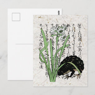 Cartão Postal Sapo Toad Botânico Japonês do Século XVIII