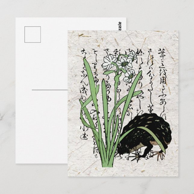 Cartão Postal Sapo Toad Botânico Japonês do Século XVIII  (Frente/Verso)