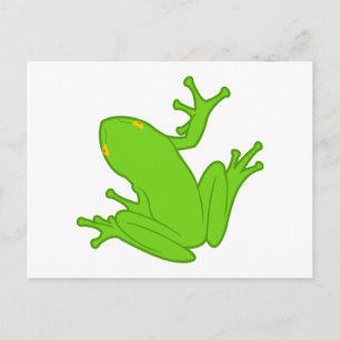 Cartão Postal Sapo Verde