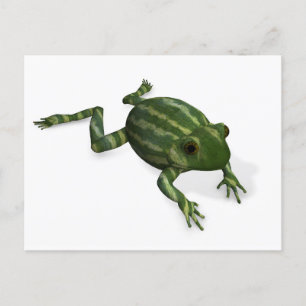 Cartão Postal Sapo Verde