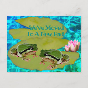 Cartão Postal Sapos Humorosos Lírios Pad Nós Mudamos O Anúncio