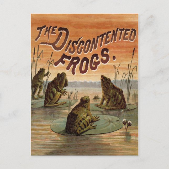 Cartão Postal Sapos Lily Pads Ilustração da Lua (Frente)