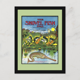 Cartão Postal Sapos na Banda