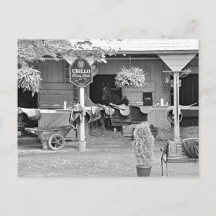 Cartão Postal Saratoga Stables "Paraíso dos Cavalos"