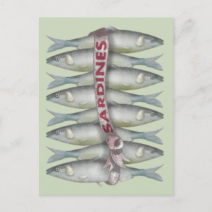 Cartão Postal Sardinhas frescas