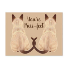 Sasha Siamese Cat Lover Vista de trás Você é Puro