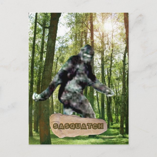 Cartão Postal Sasquatch Postcards (Frente)