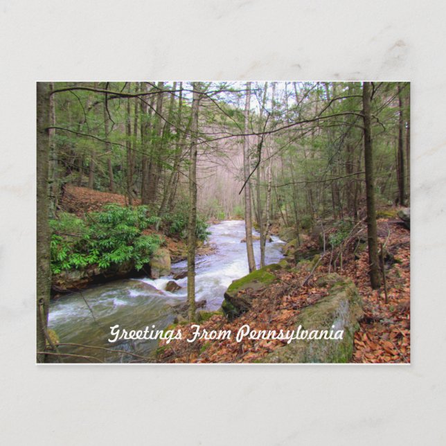 Cartão Postal Saudação Da Pensilvânia (Frente)