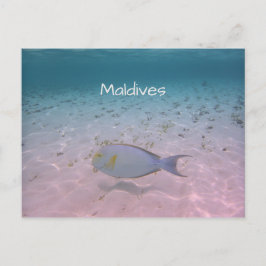 Cartão Postal Saudação das Maldivas