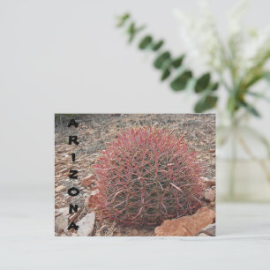 Cartão Postal Saudação de Arizona de Planta do Deserto de Barr