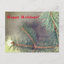 Saudação de Natal Leve