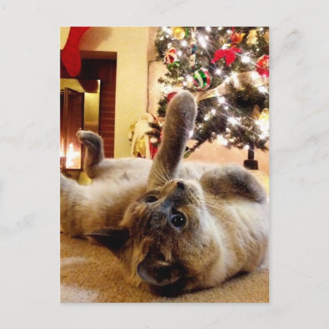 Cartão Postal Saudação de Natal pelo Bubbles (Frente)