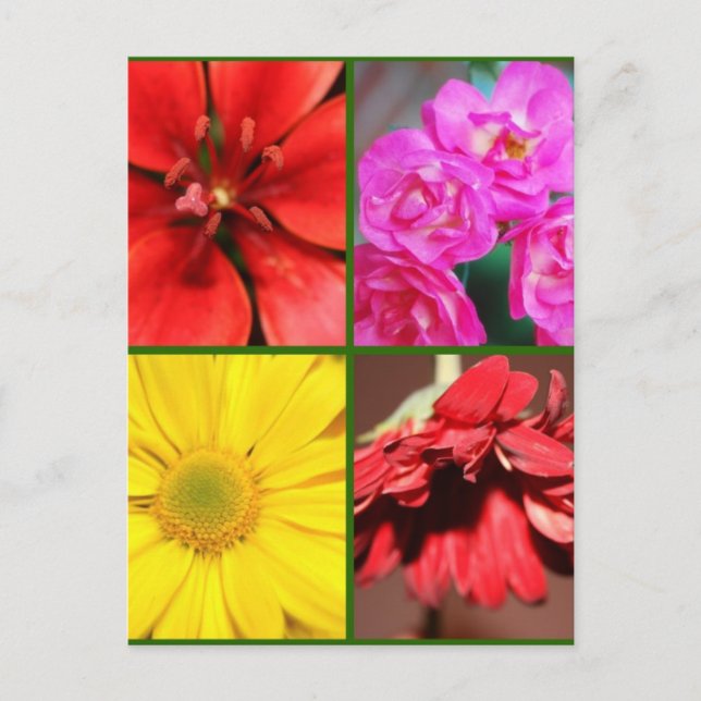 Cartão Postal Saudação Floral (Frente)