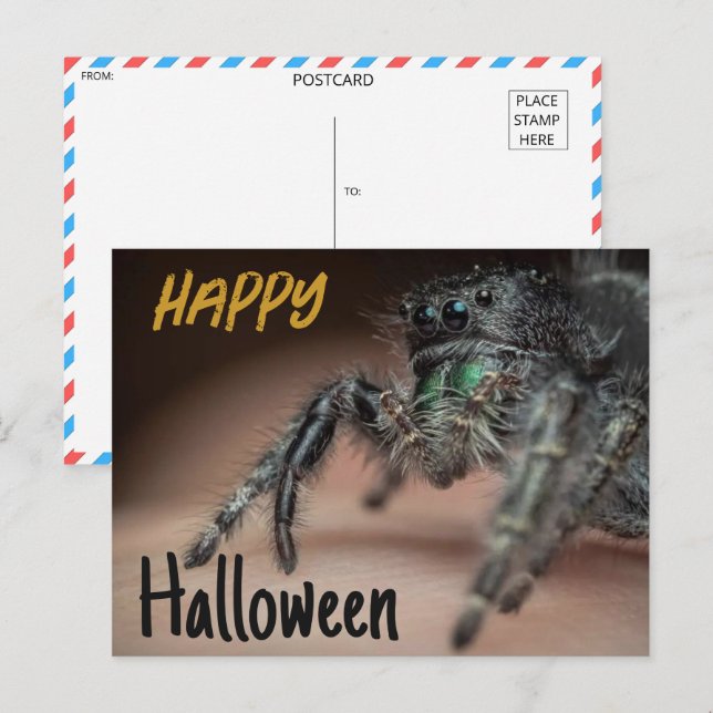 Cartão Postal Saudação Spooky Spider Halloween (Frente/Verso)