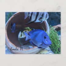 Saudação Subaquática