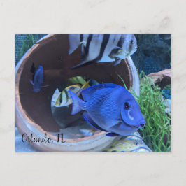 Cartão Postal Saudação Subaquática