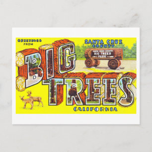 Cartão Postal Saudações Antigas de Big Trees, Califórnia,
