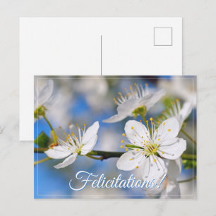 Cartão Postal Saudações brancas de primavera