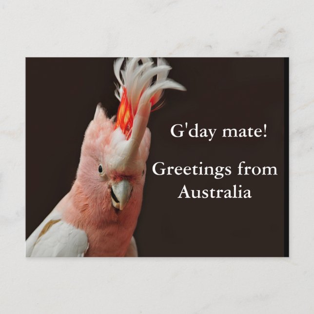 Cartão Postal Saudações da Austrália (Frente)