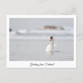 Cartão Postal Saudações da Finlândia!