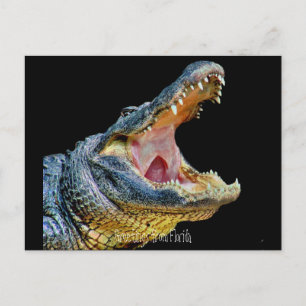 Cartão Postal Saudações da Flórida