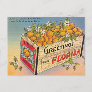 Cartão Postal Saudações da Flórida!