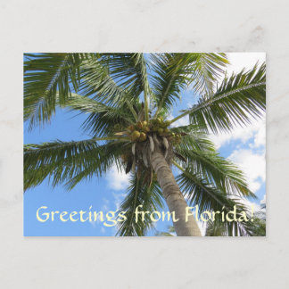 Cartão Postal Saudações da FLorida/palmeira de coco