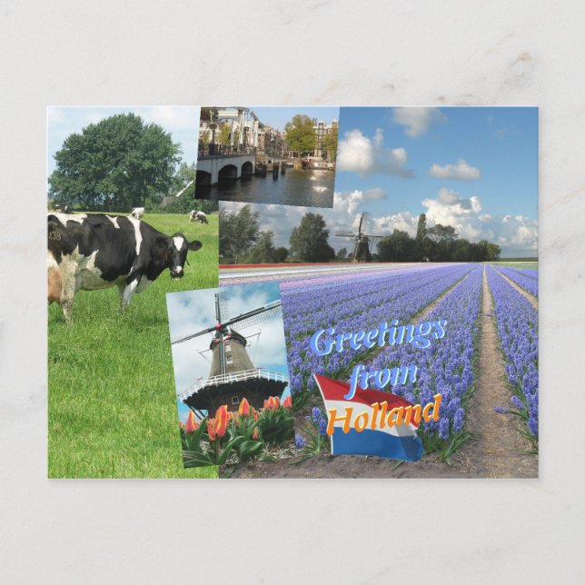 Cartão Postal Saudações da Holanda (Frente)