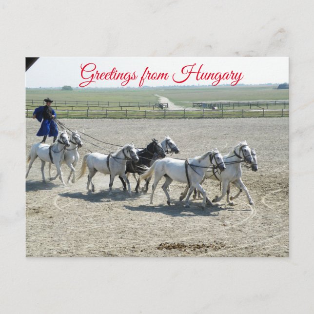 Cartão Postal Saudações da Hungria (Frente)