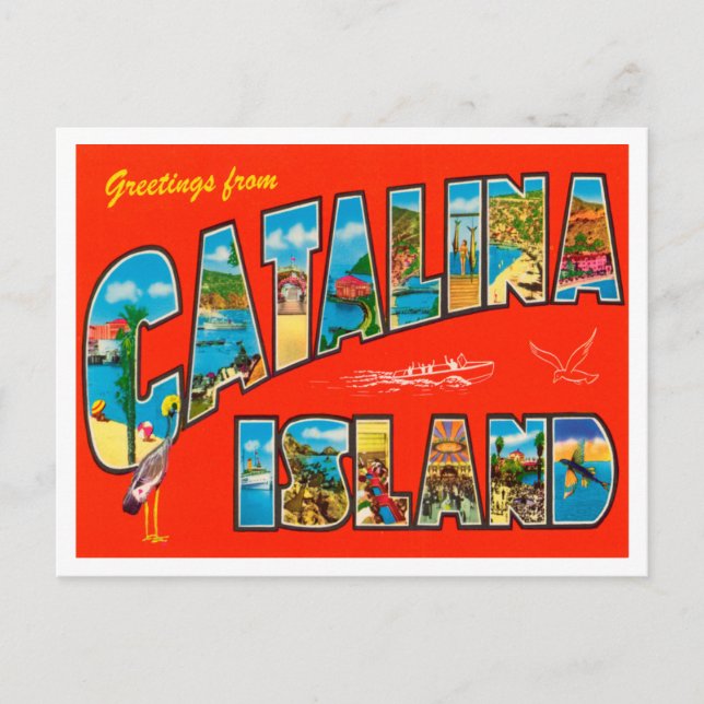 Cartão Postal Saudações da Ilha Catalina, Viagem da Califórnia (Frente)