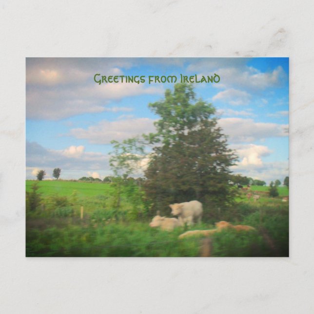Cartão Postal Saudações da Irish Photoshop (Frente)