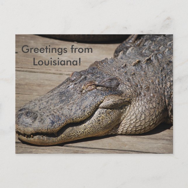 Cartão Postal Saudações da Louisiana (Frente)