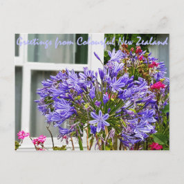 Cartão Postal Saudações da Nova Zelândia