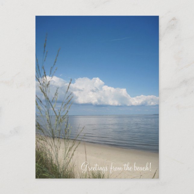 Cartão Postal Saudações da praia! (Frente)
