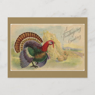Cartão Postal Saudações de Ação de Graças Vintage Peru