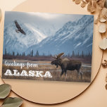 Cartão Postal Saudações de Alaska Moose e Bald Eagle<br><div class="desc">Este design pode ser personalizado na área fornecida pela alteração da foto e/ou do texto. Ou pode ser personalizado clicando em Personalizar este Modelo e, em seguida, escolhendo o clique para personalizar mais a opção e excluir ou alterar a cor do plano de fundo, adicionar texto, alterar a cor ou...</div>