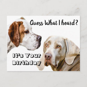 Cartão Postal Saudações de aniversário de cachorro