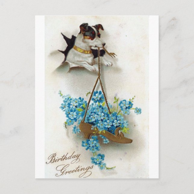 Cartão Postal Saudações de aniversário de cachorro fofo e sapato (Frente)