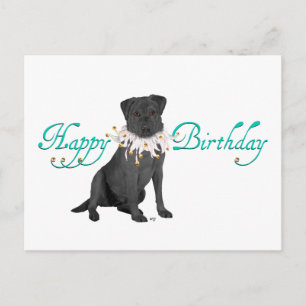 Cartão Postal Saudações de Aniversário do Labrador Retriever