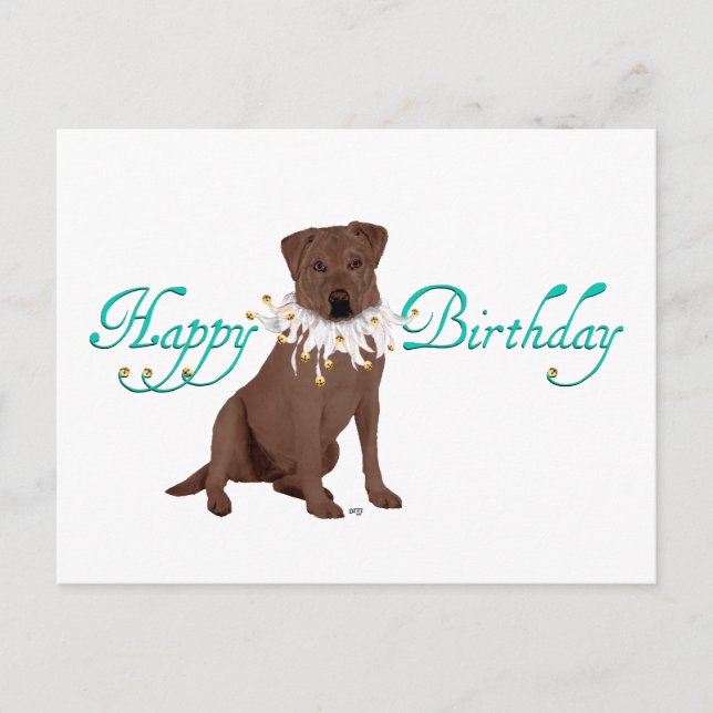 Cartão Postal Saudações de Aniversário do Labrador Retriever (Frente)