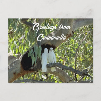 Cartão Postal Saudações de Cunnamulla