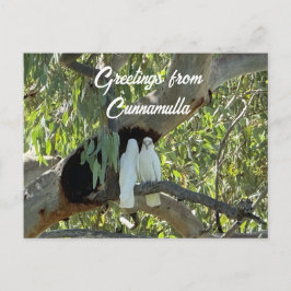 Cartão Postal Saudações de Cunnamulla 